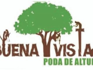 Poda-en-altura
