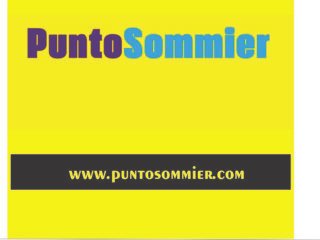 Punto-Somier-1