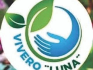 vivero-luna