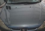 Peugeot 2006
