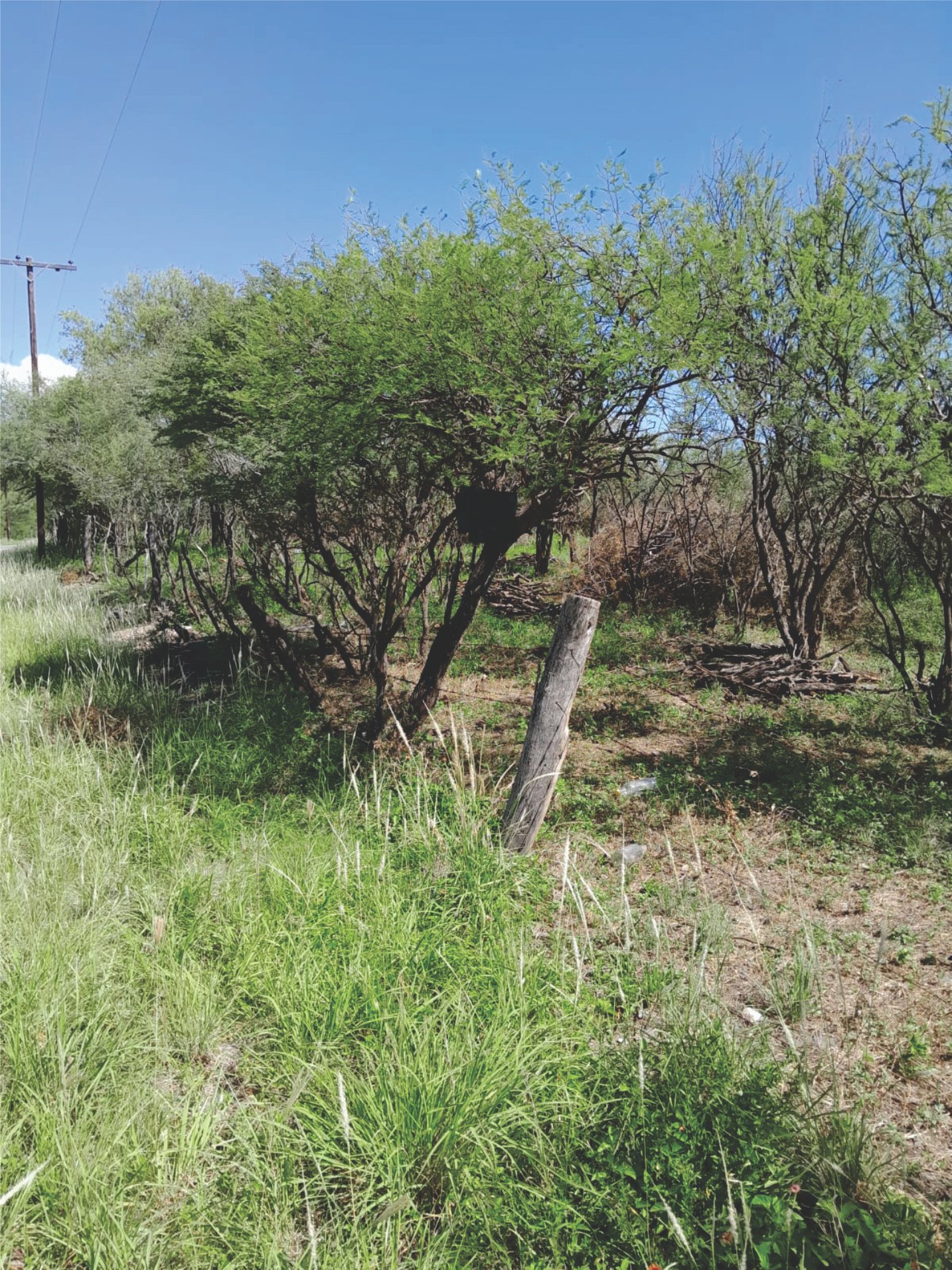 Lote Boca del Rio U$S 9.000