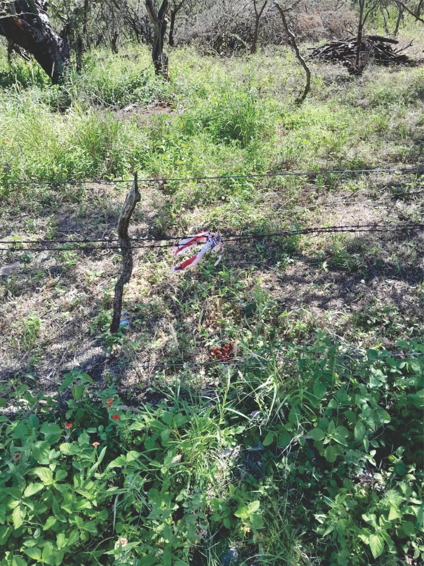 Lote Boca del Rio U$S 9.000