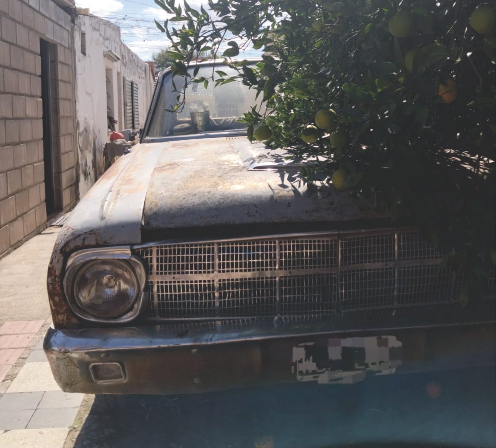 Ford Falcon