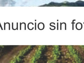 anuncio-sin-foto