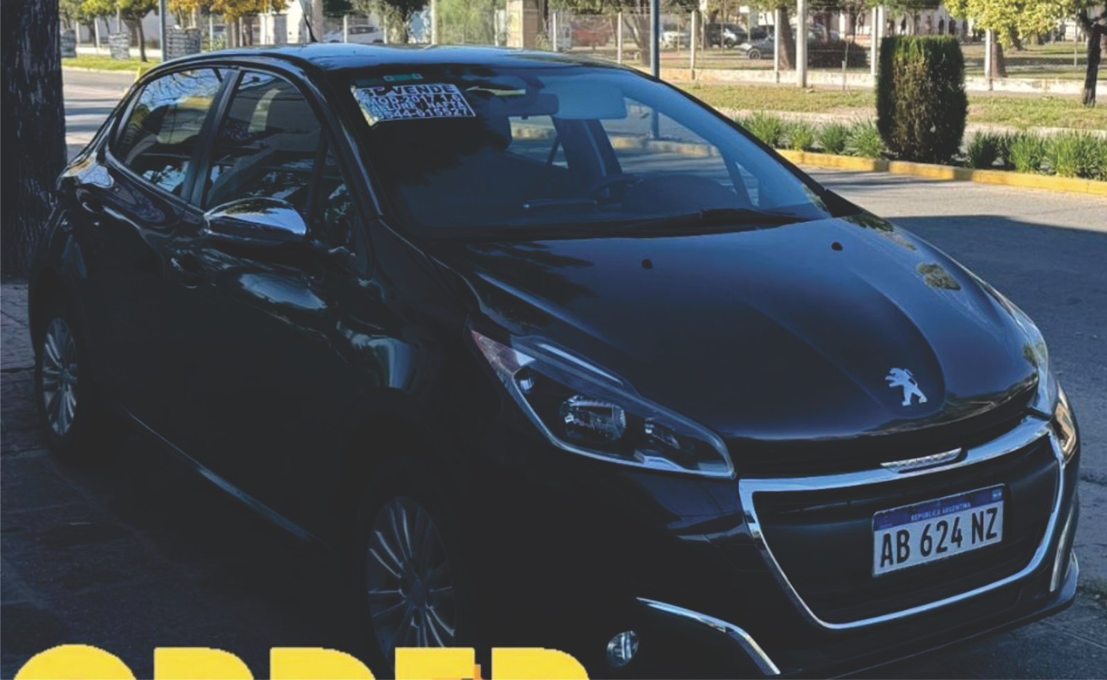 Peugeot 208