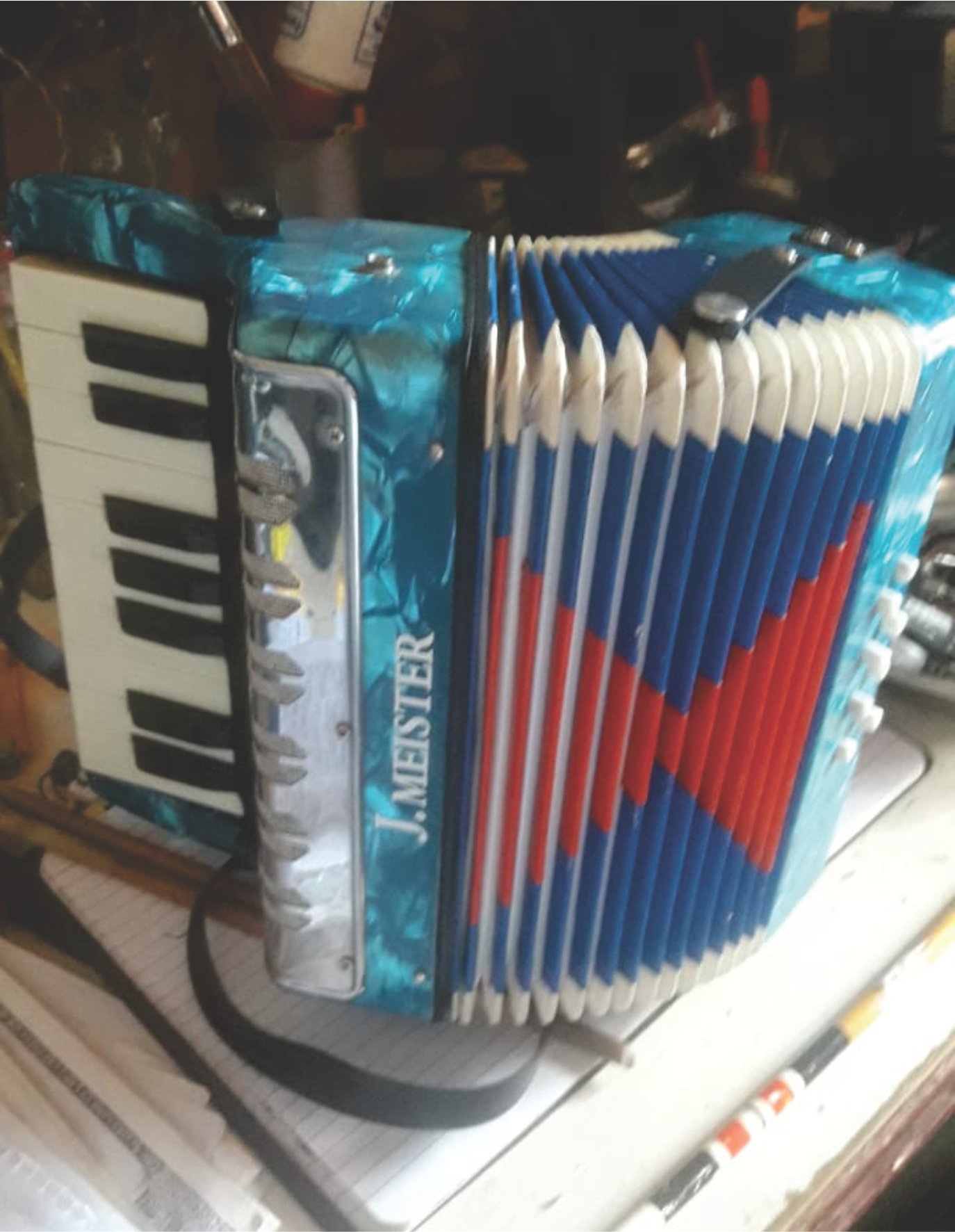 Acordeon $ 80.000