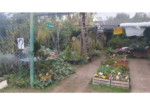 Vivero en Villa Dolores
