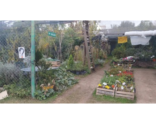 Vivero en Villa Dolores
