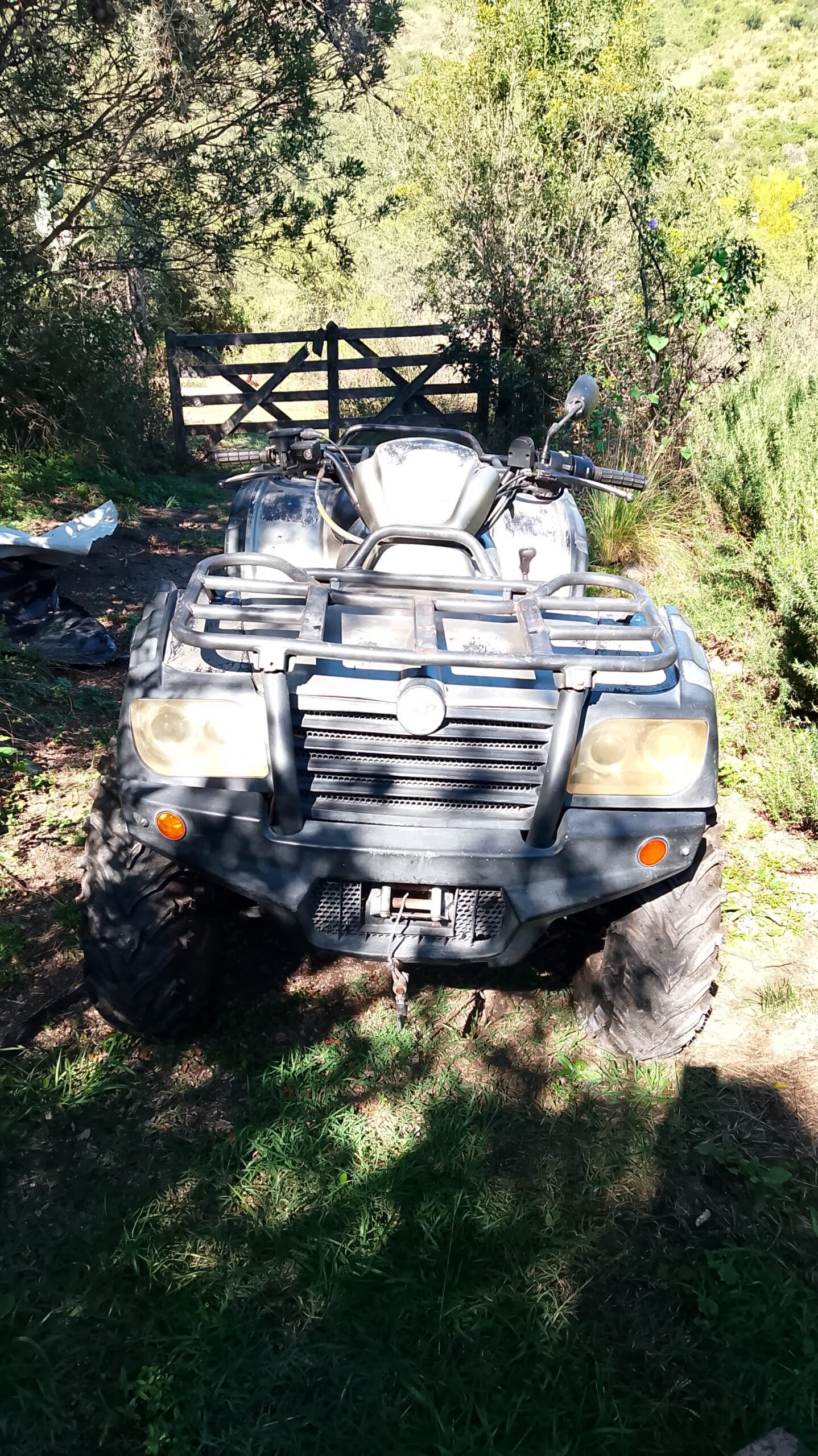 Cuatriciclo NP500 4×4