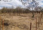 Terreno en Las Tapias B° Buen Vivir
