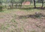 Terreno en Las Tapias B° Buen Vivir