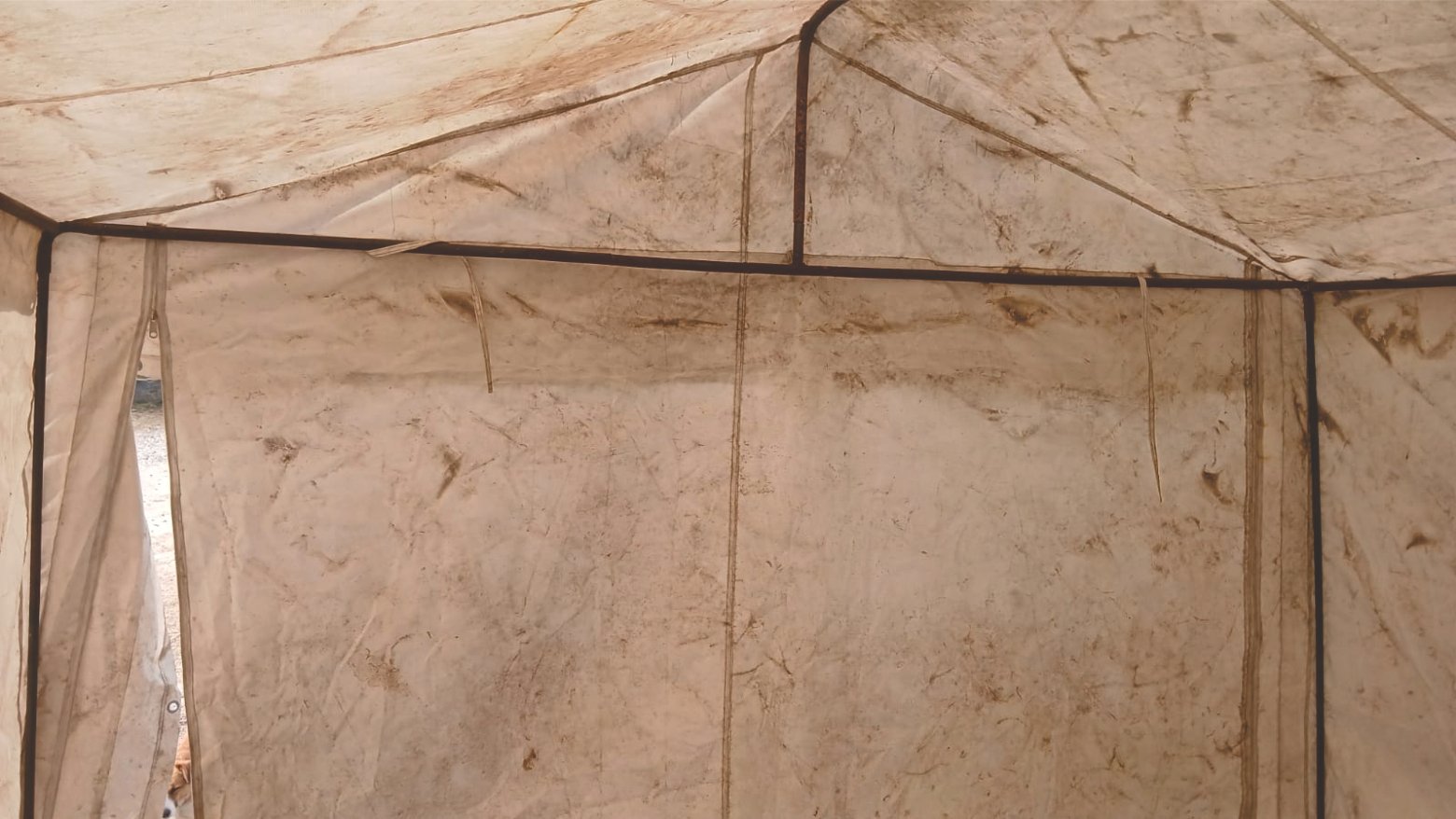 Carpa -Gazebo