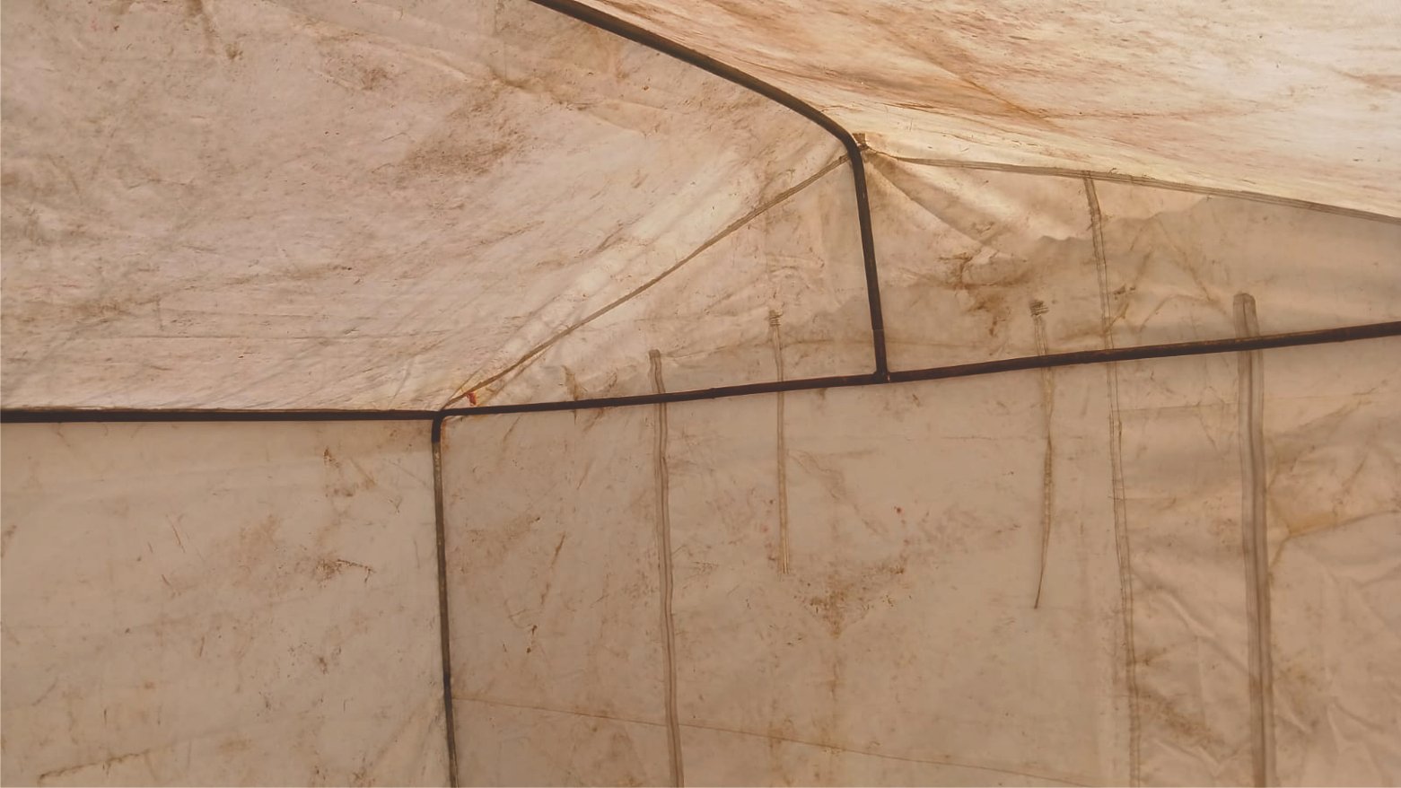 Carpa -Gazebo