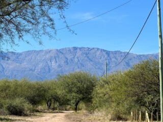 IMG_1653